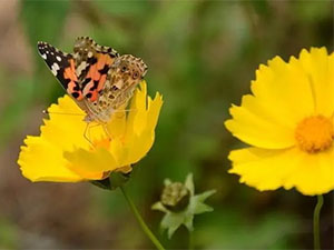 学会接受所有不公平